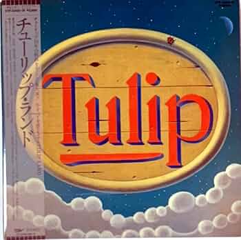 Amazon.co.jp: チューリップランド TULIP LAND [12